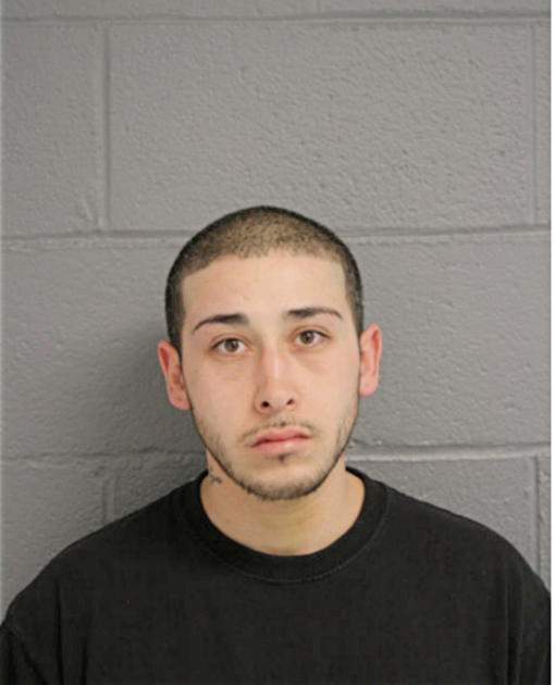 BRADLEY G VILLARREAL, Cook County, Illinois