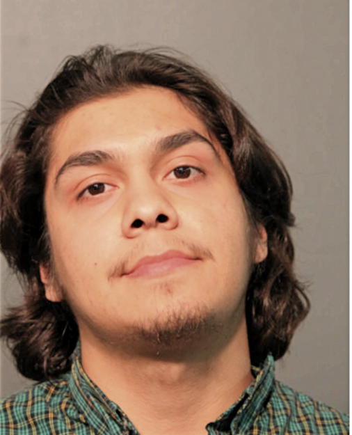 NATHAN M VITERI, Cook County, Illinois