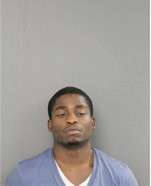STEVEN D WILSON, Cook County, Illinois