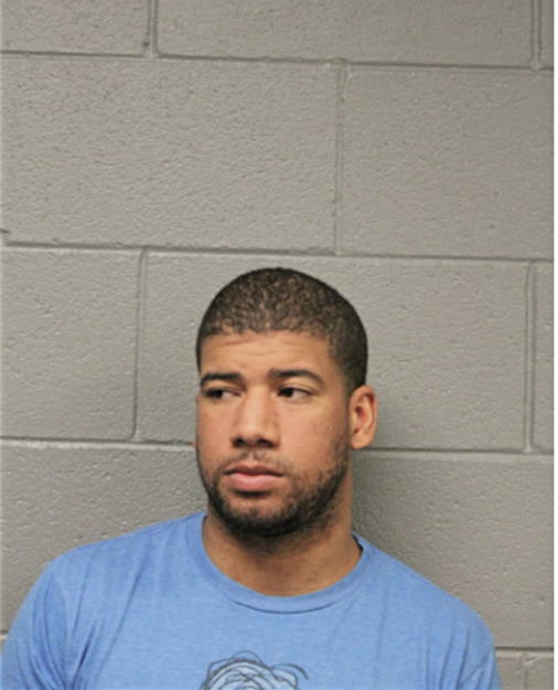 GARRETT C ADAMS, Cook County, Illinois