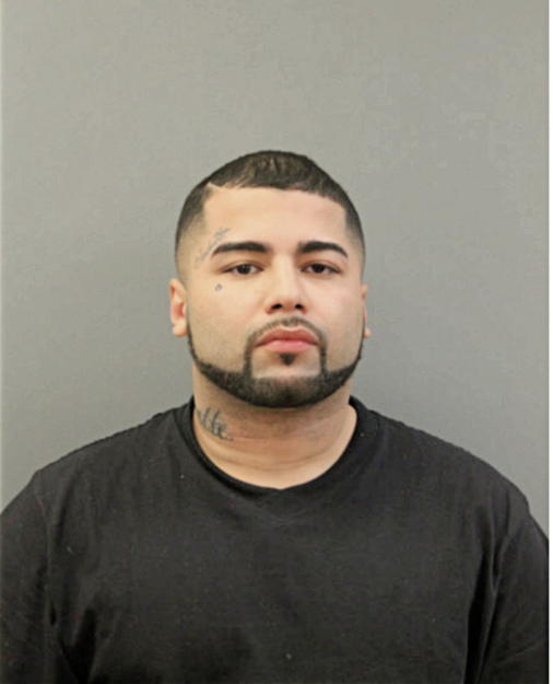 ANIBAL ALVARADO, Cook County, Illinois