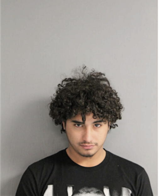 CHRISTIAN A BENAVIDESACEVEDO, Cook County, Illinois