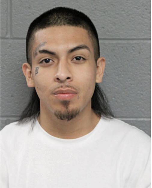 ERWIGN DELGADO, Cook County, Illinois