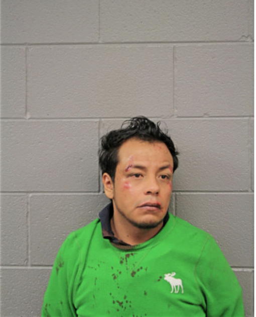 ERICK CESAR DURAN-GARAY, Cook County, Illinois