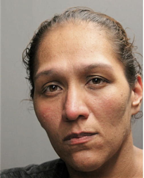 ARJELIA L FIGUEROA, Cook County, Illinois