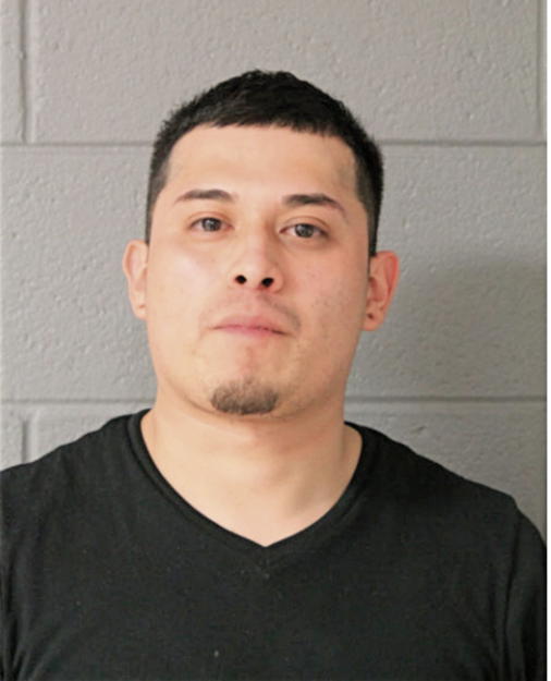 CARLITOS GAMA, Cook County, Illinois