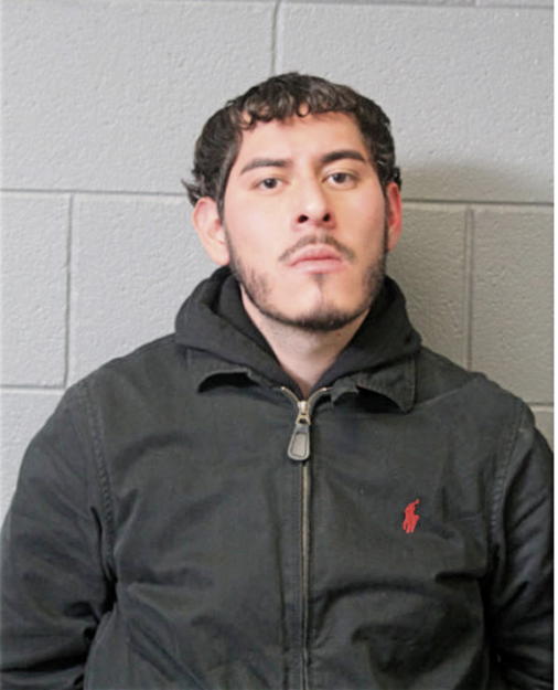 JOSE L GARCIA, Cook County, Illinois
