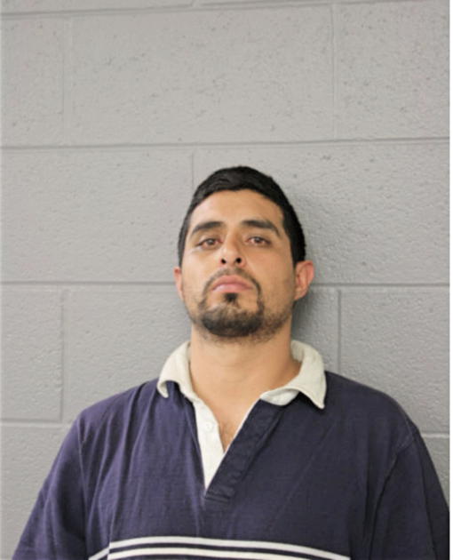 JULIO GARCIA, Cook County, Illinois
