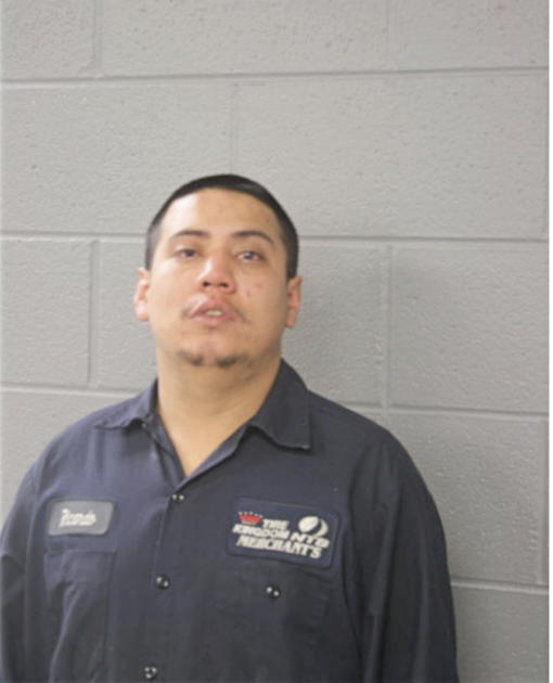 RICARDO GONZALES, Cook County, Illinois
