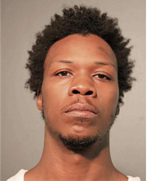 PETER HAMILTON, Cook County, Illinois
