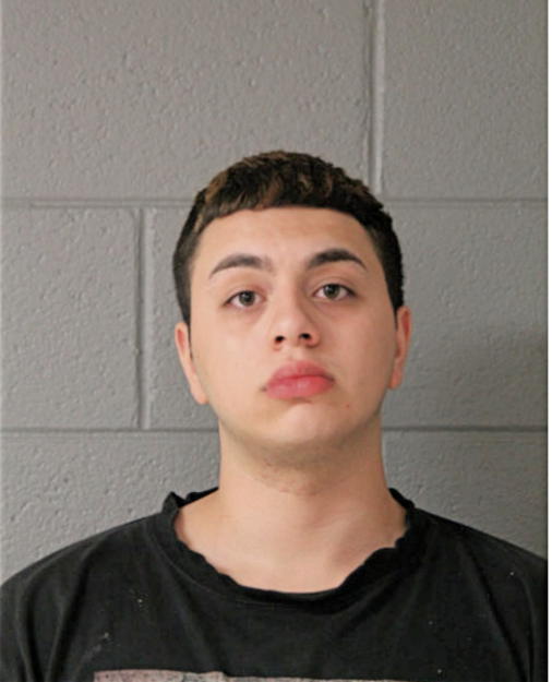 AMIR O HASAN, Cook County, Illinois