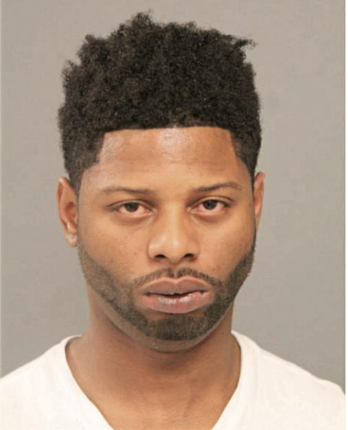 TERRANCE N JOHNSON, Cook County, Illinois