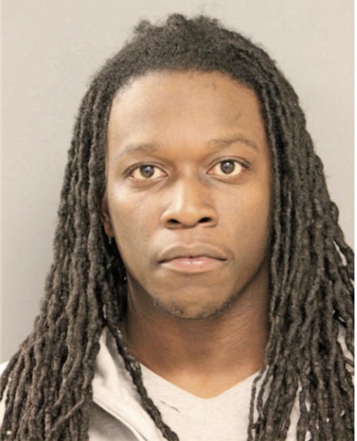DAVID M LOGAN, Cook County, Illinois