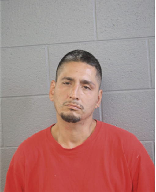DAVID LOZANO, Cook County, Illinois