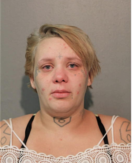 NICOLE D NATSCHKE, Cook County, Illinois