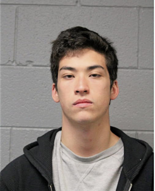 NICHOLAS PARRILLI, Cook County, Illinois