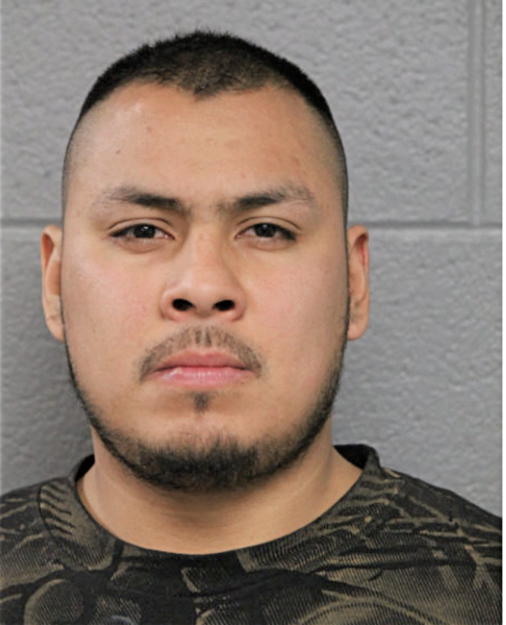 JOSE CARLOS POSADA, Cook County, Illinois