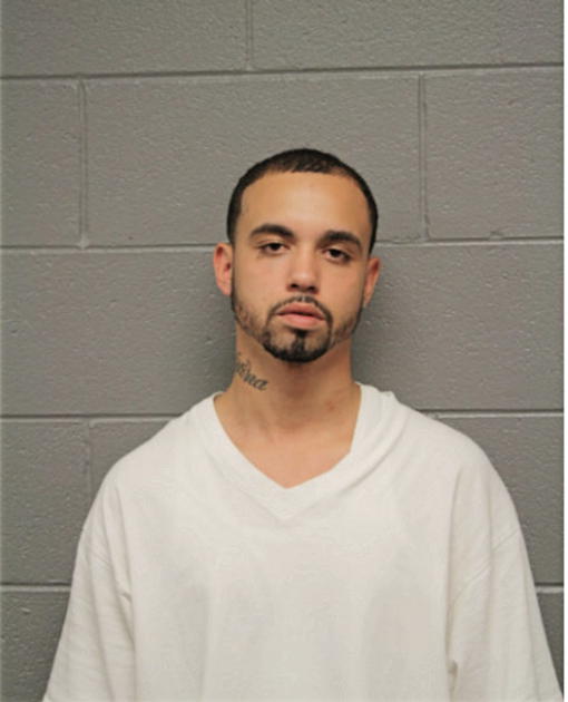 GIDALTHI O RODRIGUEZ, Cook County, Illinois