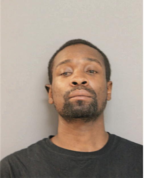 DAMEN D ROWAN, Cook County, Illinois
