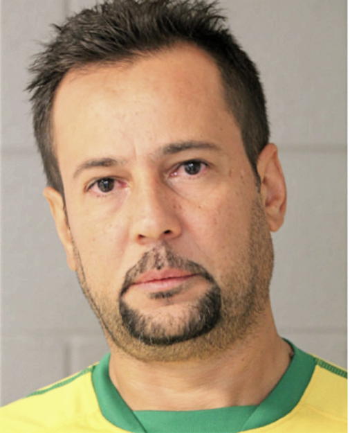 LUIZ H SILVEIRA, Cook County, Illinois