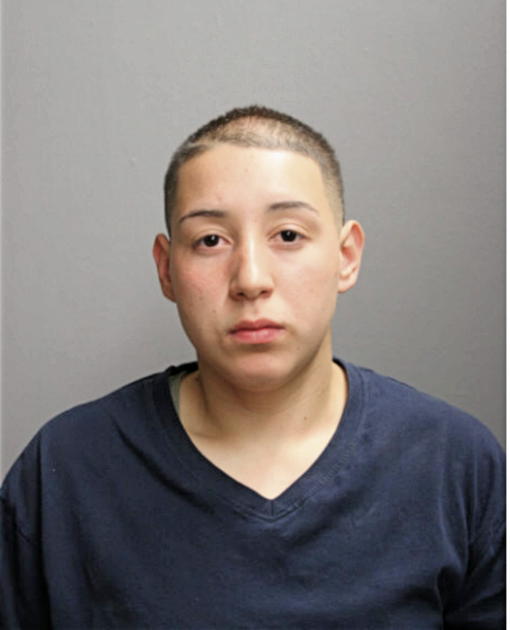 LISANDRA SUSTACHE, Cook County, Illinois