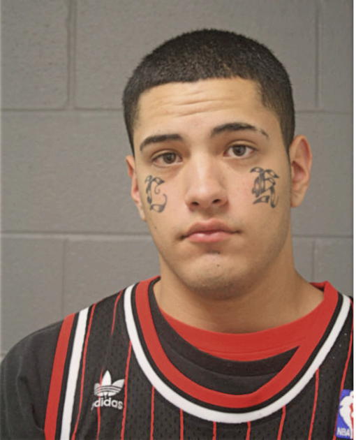 JOSE J VILLAGOMEZ, Cook County, Illinois