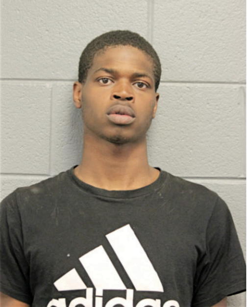 CHRISTOPHER L WIMES, Cook County, Illinois