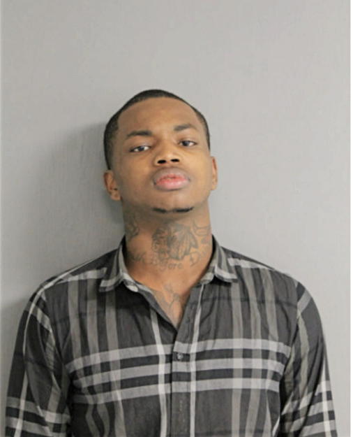 JEFFREY J ADAMS, Cook County, Illinois