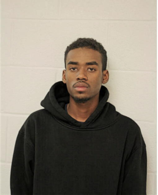 IBRAHIM J ALI, Cook County, Illinois