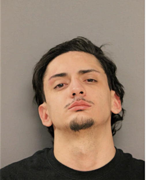 DAVID A ARAUJO, Cook County, Illinois