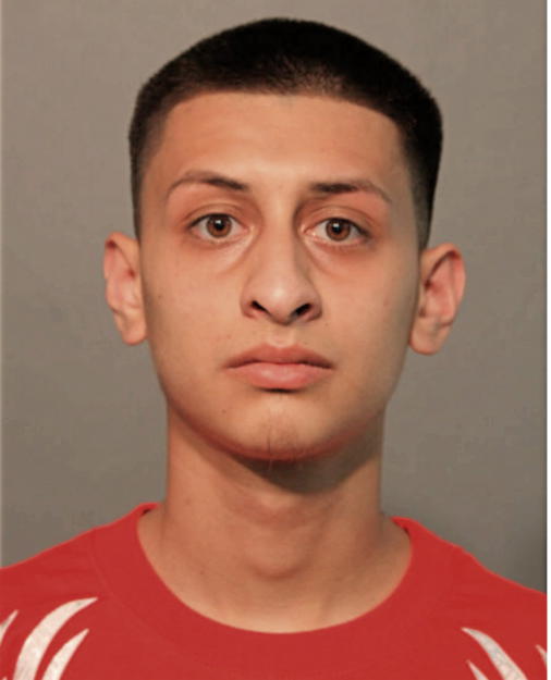MICHAEL A BERISTAIN, Cook County, Illinois