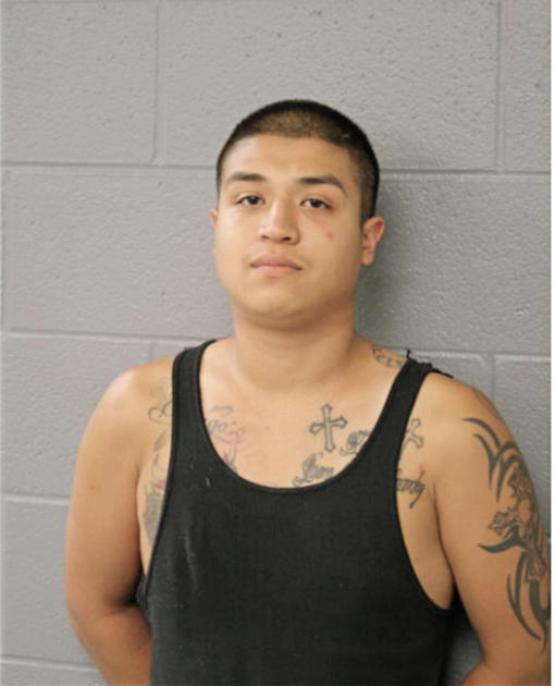 IVAN BOLLIVARA, Cook County, Illinois