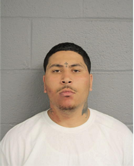 NICHOLAS LAVONT BROWN, Cook County, Illinois