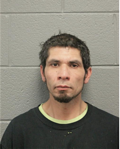 JAIME A CANCHOLA, Cook County, Illinois