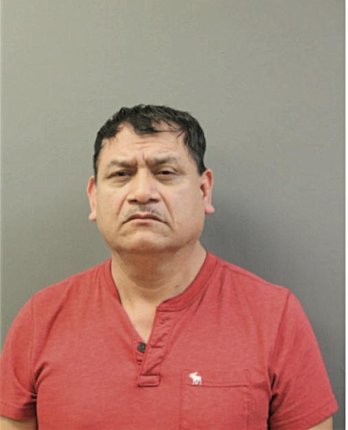FORTINO CASILLAS, Cook County, Illinois