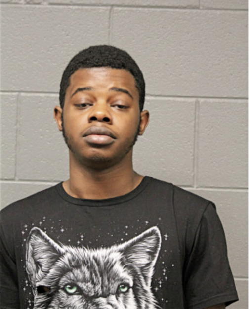 CHARLES E FIELDS, Cook County, Illinois