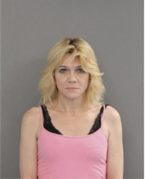 LISA L HAMILTON, Cook County, Illinois