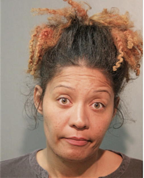 LAURA A HUDSON, Cook County, Illinois
