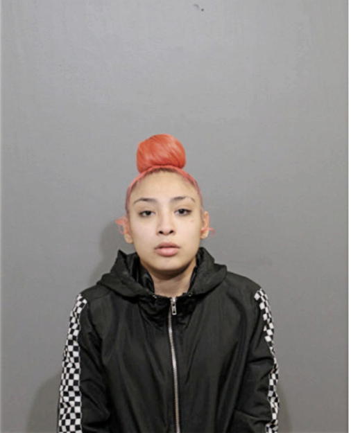 ASHLEY J HUERTA, Cook County, Illinois