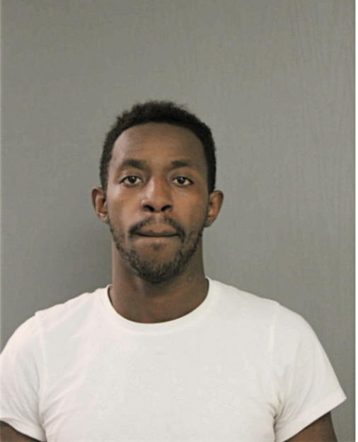 DENNIS T IVORY, Cook County, Illinois
