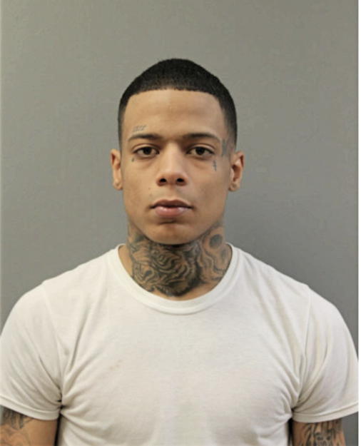 PATRICK JOHNSON, Cook County, Illinois