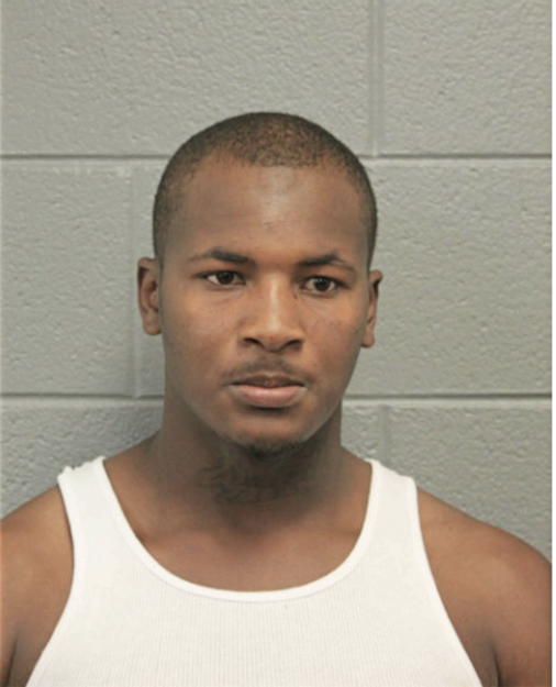 TERRENCE L JOHNSON, Cook County, Illinois