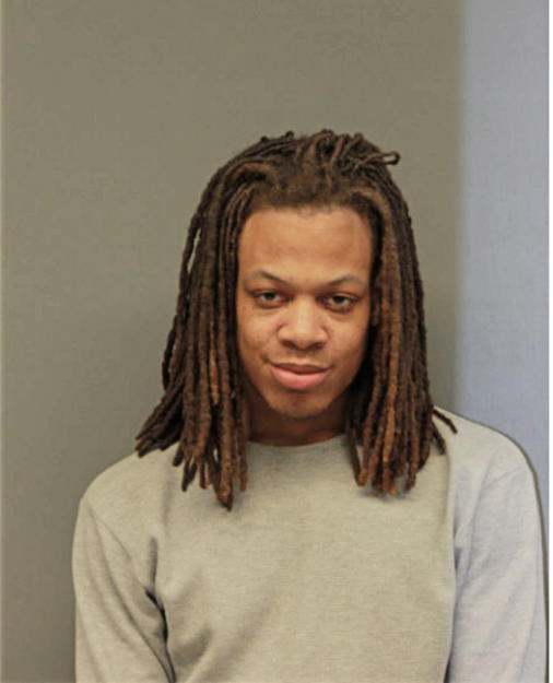 STEVEN A LEE, Cook County, Illinois