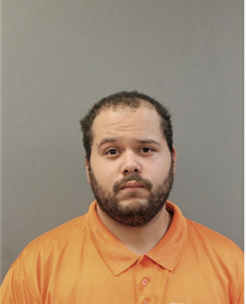 SEAN B LEWIS, Cook County, Illinois