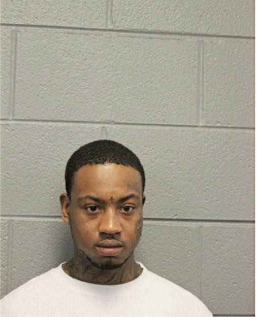 JAMES L MCCLINITON, Cook County, Illinois