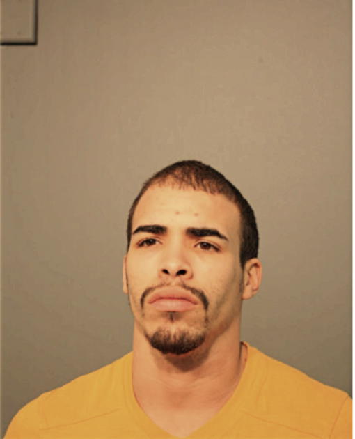 GELSON L PAGAN, Cook County, Illinois