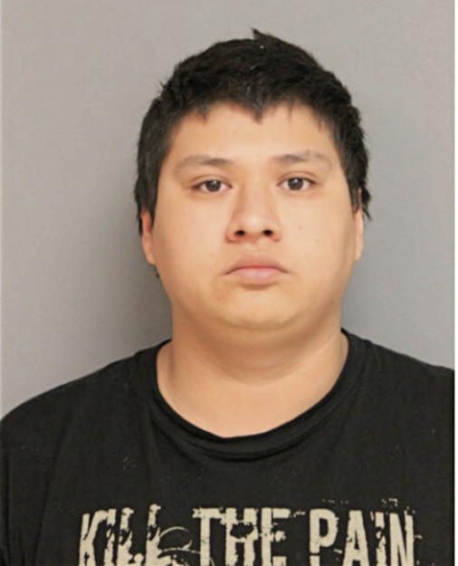 ANTONIO A RINCON, Cook County, Illinois