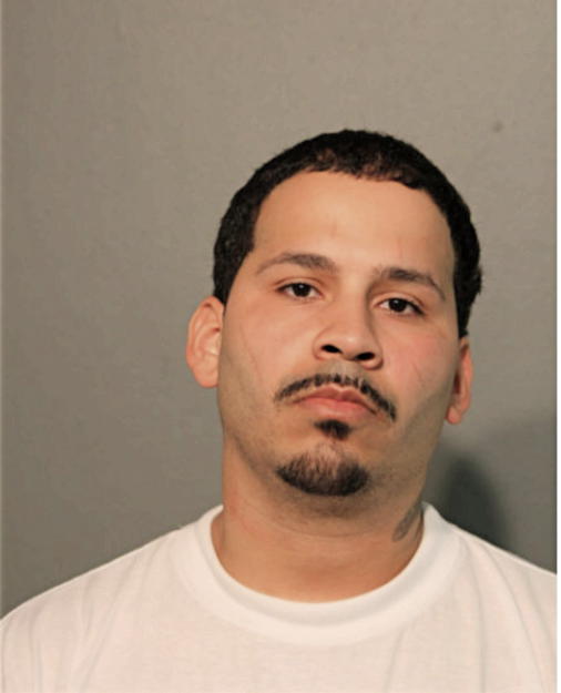 LUIS A RIVERA, Cook County, Illinois