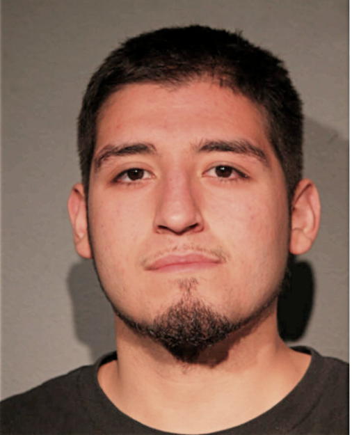 MOISES TORRES, Cook County, Illinois