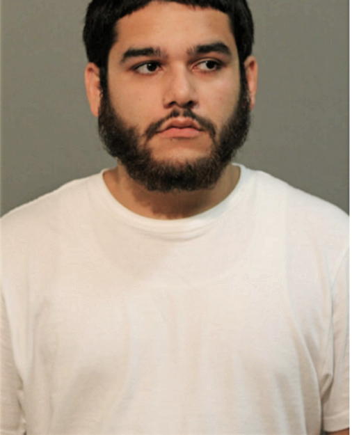 ANTONIO A VILLARREAL, Cook County, Illinois